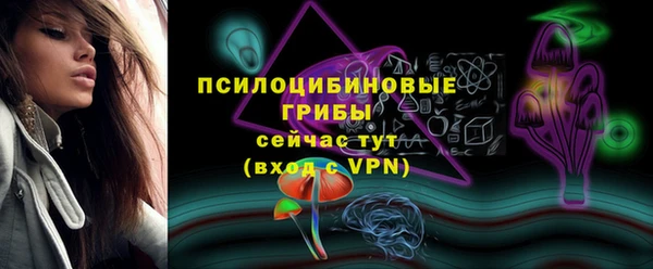 хмурый Рославль