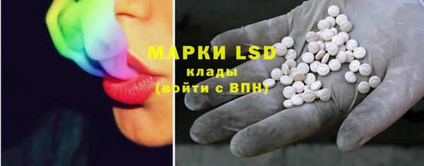 хмурый Рославль