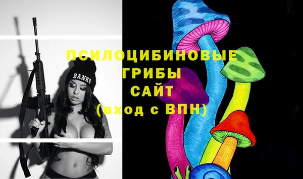 2c-b Абинск