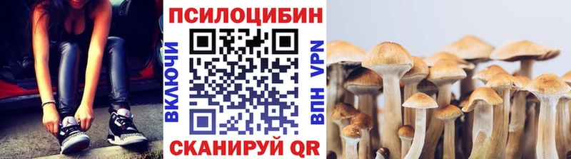 Псилоцибиновые грибы MAGIC MUSHROOMS  Камышлов 