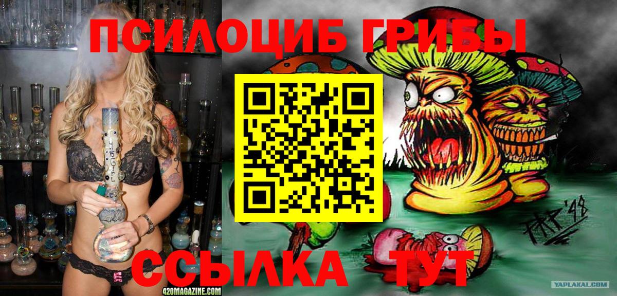 Псилоцибиновые грибы MAGIC MUSHROOMS  Вход с VPN  Камышлов  Псилоцибиновые грибы мицелий 