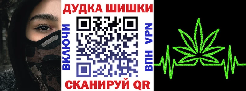 закладка  Камышлов  Бошки Шишки конопля 